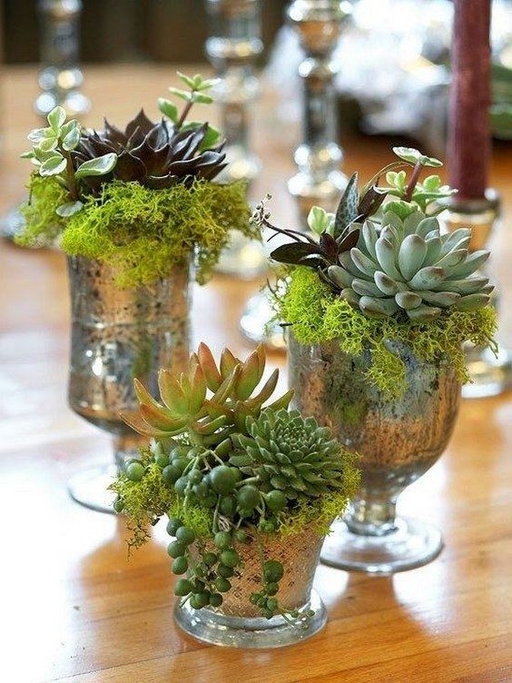 Succulent-moss-wedding-centerpieces