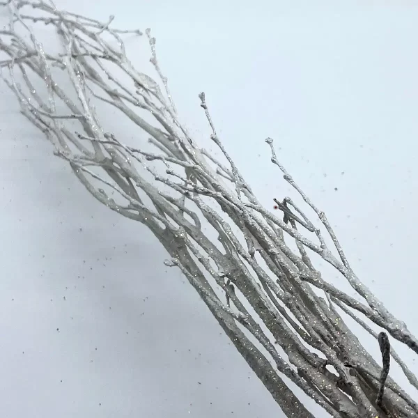 White Birch Branch