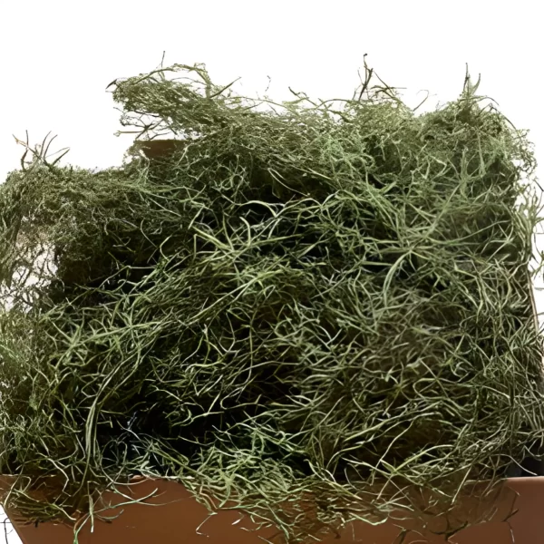 Bulk Spanish Moss Air Dried Basil