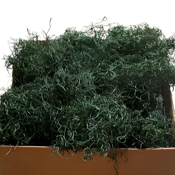 Bulk Spanish Moss Air Dried Hunter Green