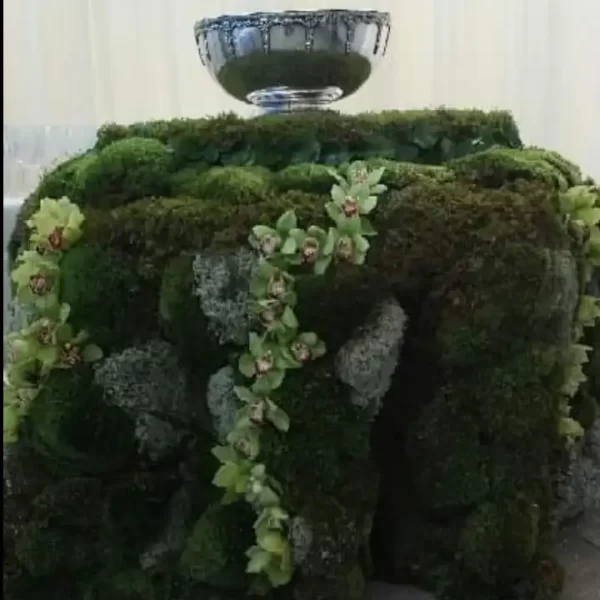 Mood Moss Table Display