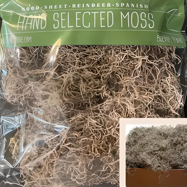 Natural Air Dried Spanish Moss