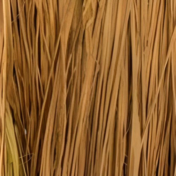 Sand Raffia Grass