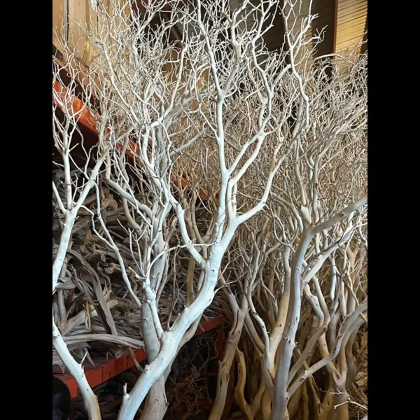 Sandblasted Manzanita branches