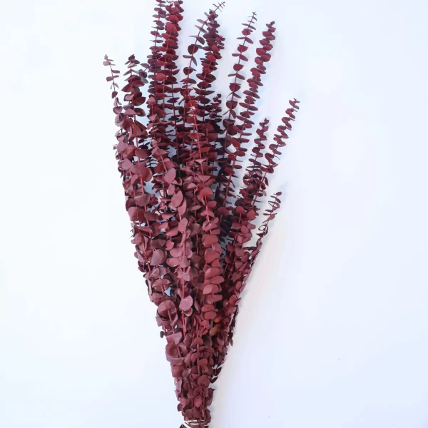 Washed Red Eucalyptus Branches