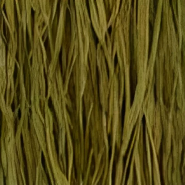 Cattail Cattail Raffia Grass