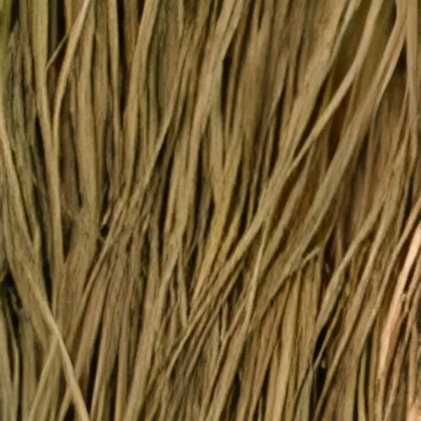 Field Green Dark Marsh Raffia Grass