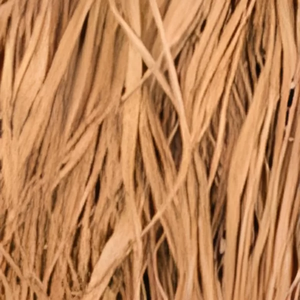 Mud Edge Dark Marsh Raffia Grass