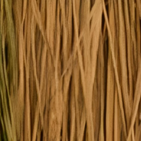 Sand Dyed Cattail Raffia Grass