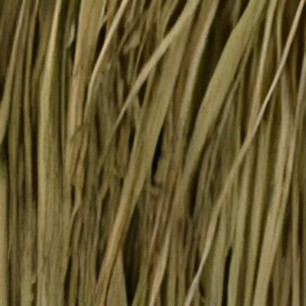 Wetlands Field Green Raffia Gras