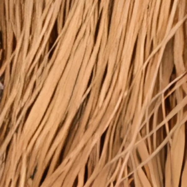 Wetlands Mud Edge Raffia Grass