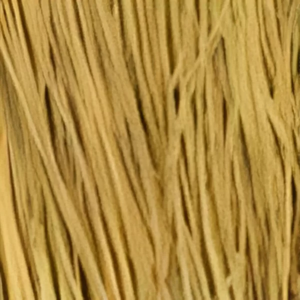 Wetlands Winter Wheat Raffia Grass