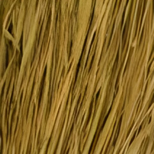 Winter Wheat Cattail Raffia Grass