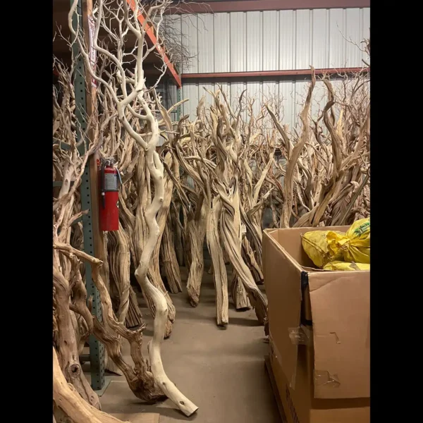 Bulk Sandblasted Ghostwood