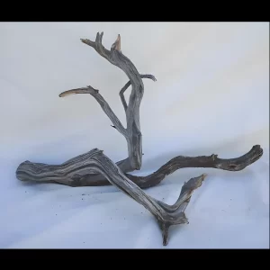 Ghostwood natural 24-30 branch