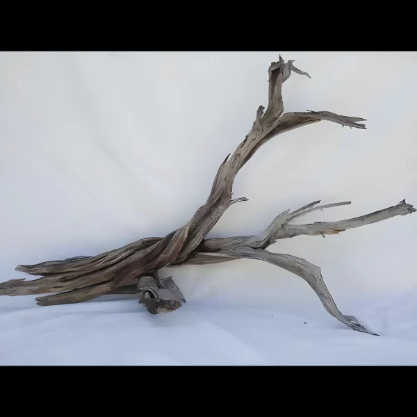 Ghost wood natural 48 inch branch