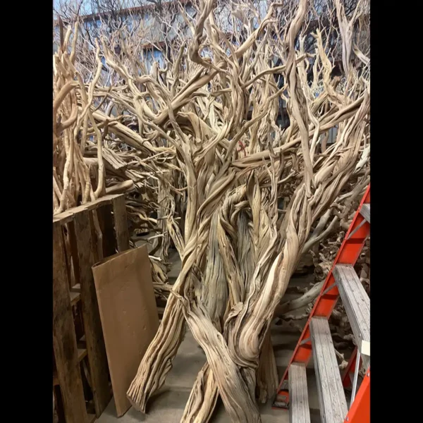 Ghost wood Sandblasted Branches