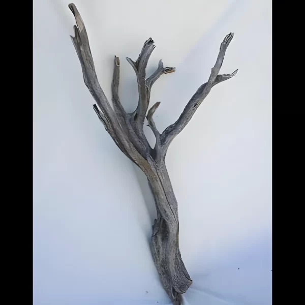 Ghost wood natural 36 branch