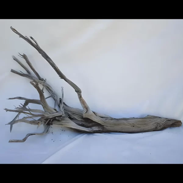 Ghost wood natural 60 inch branch