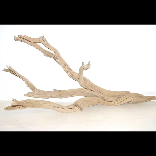 Ghost wood sandblasted branch 24-30