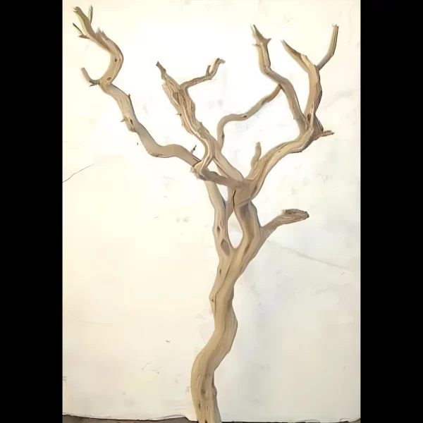 Ghost wood sandblasted branch 48