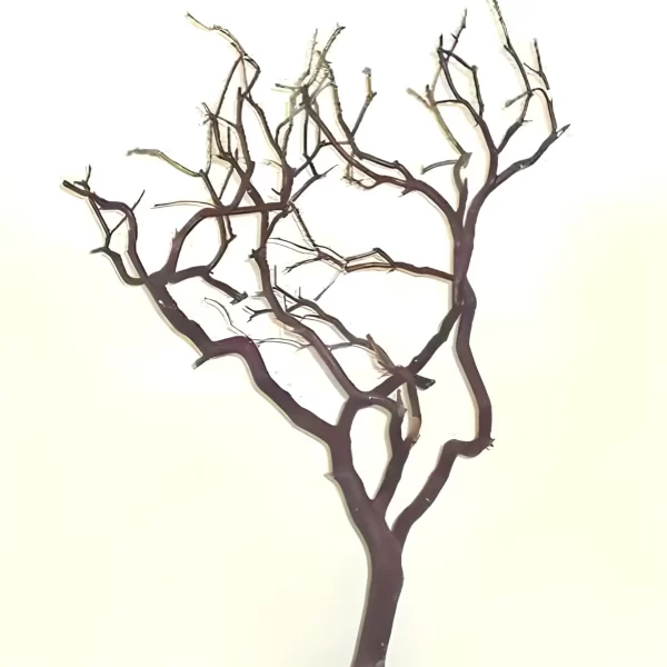 Manzanita 12 Inch Branch with Fork