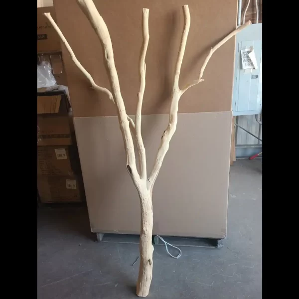 Sandblasted Manzanita Bird Wood