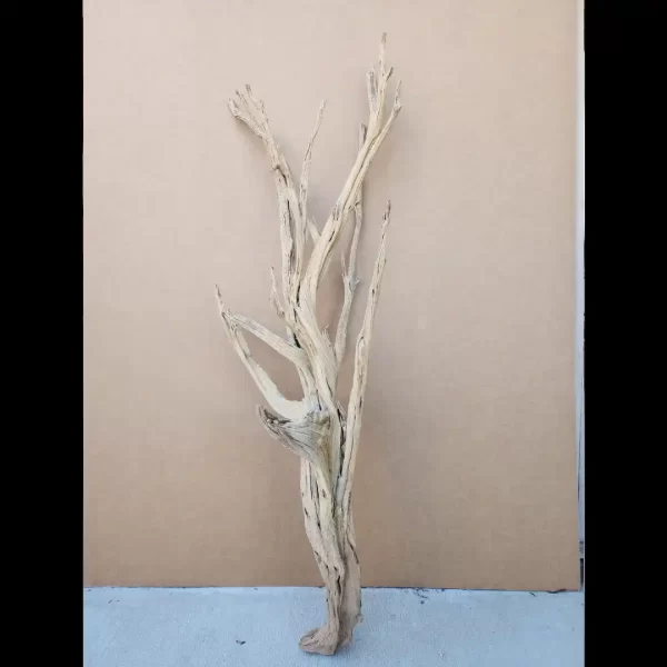 Sandblasted Ghostwood