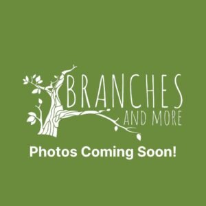 Bulk Fresh Winter Greens | Pacific Northwest Sourced