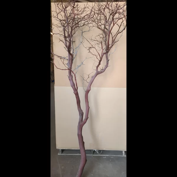 Natural Manzanita Branch