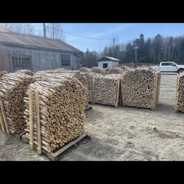 Birch Poles stacked in Bulk