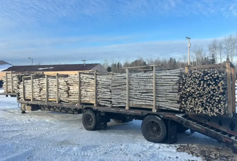 birch poles on truck