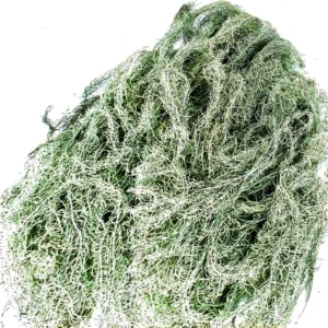 Bulk Grandfather’s Beard Lichen