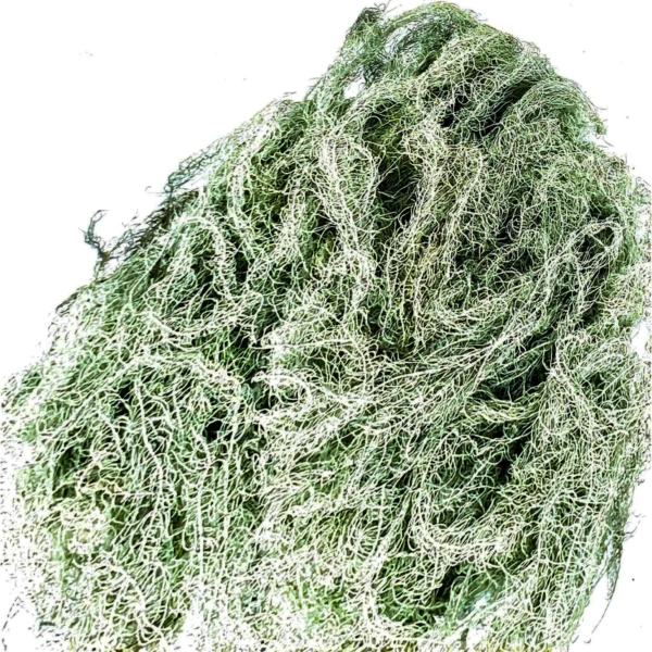 Bulk Grandfather’s Beard Lichen