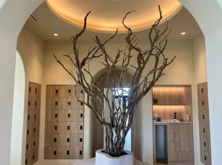 Dragon wood Branch Display